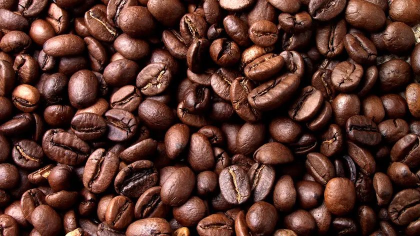 grains de café - service elis