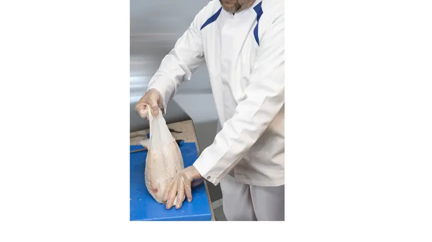 vetement-agroalimentaire-food-industry