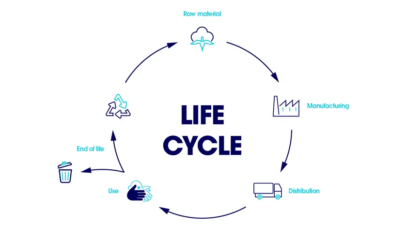Life cycle