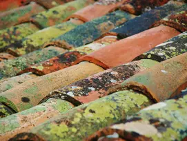 Démoussage de toitures